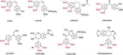Advances in antitumor research of CA-4 analogs carrying quinoline scaffold